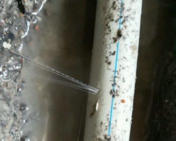 平房卫生间测漏水多少钱